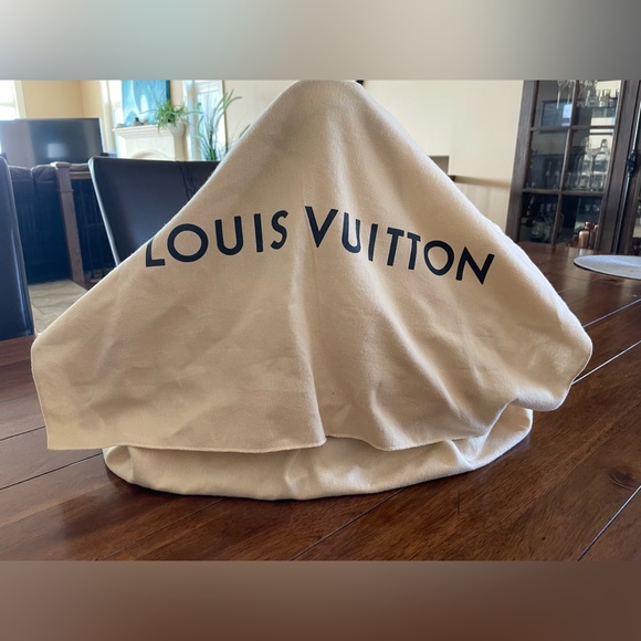 RARE!! MINT!!! LOUIS VUITTON MILLA MM - Picture 13 of 15
